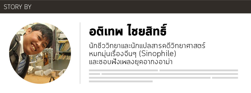 default column 1205x682 img