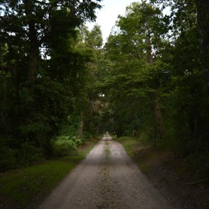 ดาวน์โหลดและฟังเพลง on and on พร้อมเนื้อเพลงจาก 1ndigo