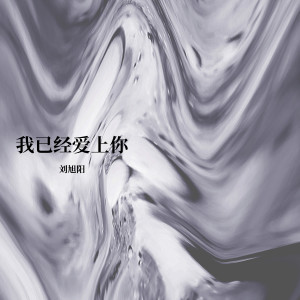 Listen to 我已经爱上你 (DJ咚鼓承利Remix) song with lyrics from 承利