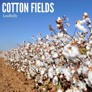 Cotton Fields dari Lead Belly