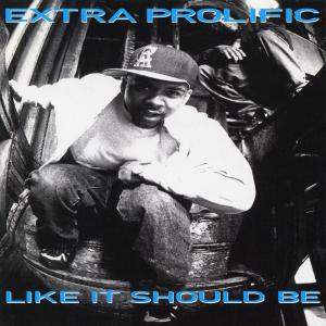 ดาวน์โหลดและฟังเพลง The Fat Outro พร้อมเนื้อเพลงจาก Extra Prolific