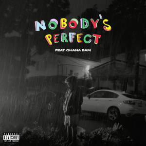 Album Nobody's Perfect from Ohana Bam