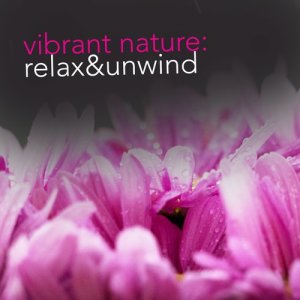 อัลบัม Vibrant Nature: Relax & Unwind ศิลปิน Ambiance Nature