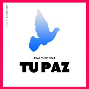 Album Tu Paz from Santi De Leo