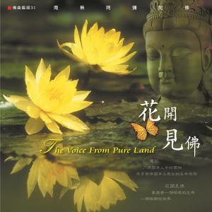 收聽王俊雄的花開見佛 (音樂版) (音樂版)歌詞歌曲