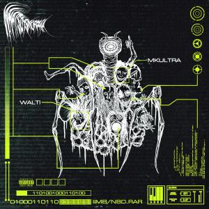 ดาวน์โหลดและฟังเพลง iimb (Explicit) พร้อมเนื้อเพลงจาก whatsdysmorphia