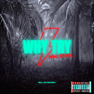 Album Why Try (Explicit) from 