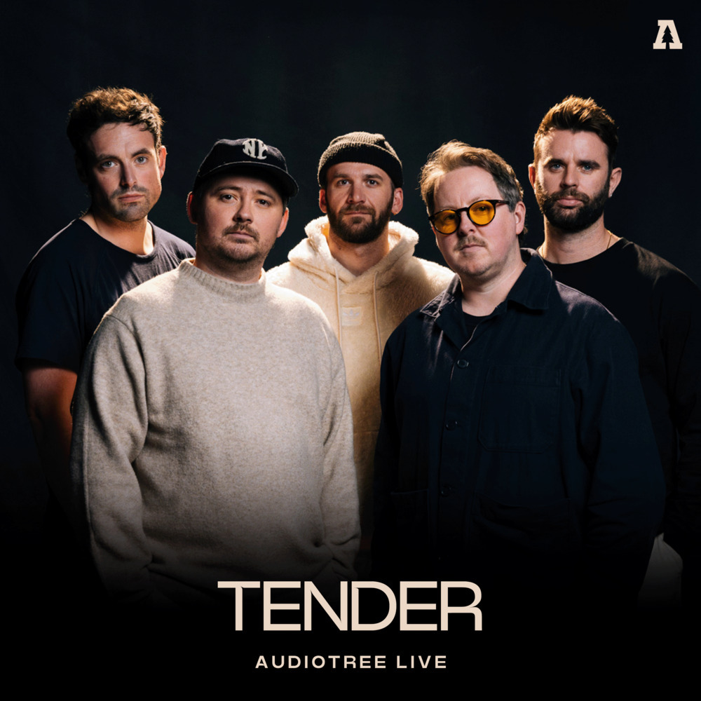 Come Down When You're Ready (Audiotree Live Version)