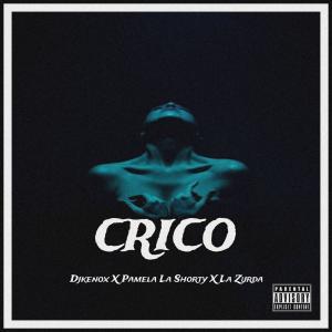 收聽Pamela La Shorty的Crico (feat. DJKenox & Zurda|Explicit)歌詞歌曲