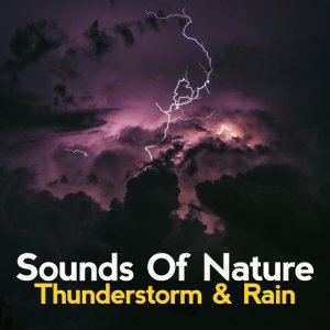 ดาวน์โหลดและฟังเพลง Window Hail พร้อมเนื้อเพลงจาก Sounds Of Nature : Thunderstorm, Rain