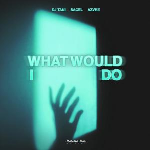 AZVRE的專輯What Would I Do