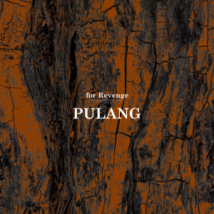 Album Pulang from For Revenge