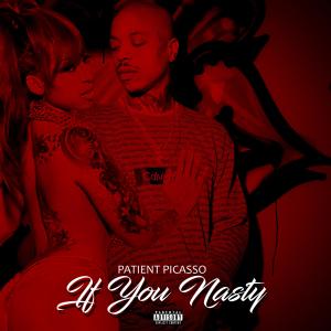 Patient Picasso的專輯If You Nasty (Explicit)