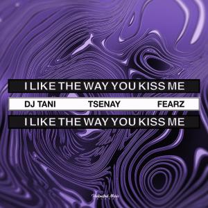 DJ TANI的專輯i like the way you kiss me (Techno)