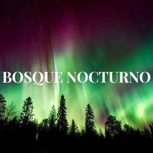 ดาวน์โหลดและฟังเพลง BOSQUE DE NOCHE พร้อมเนื้อเพลงจาก Buenas Noches