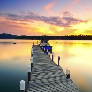 Dengarkan lagu DNA Repair nyanyian Noelle Durand dengan lirik