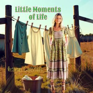 Karen Colville的專輯Little Moments of Life