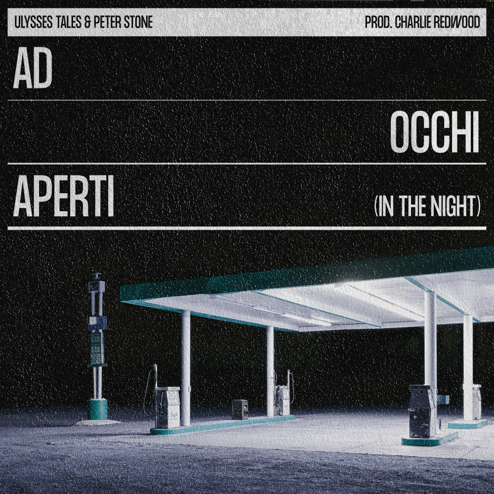 Ad occhi aperti (In the Night)