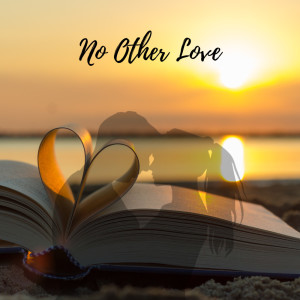 群星的專輯No Other Love