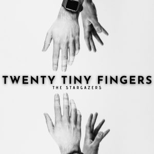 อัลบัม Twenty Tiny Fingers - The Stargazers ศิลปิน The Stargazers