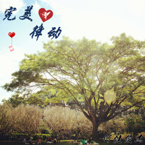 Album 完美律动 oleh 何健俊杰