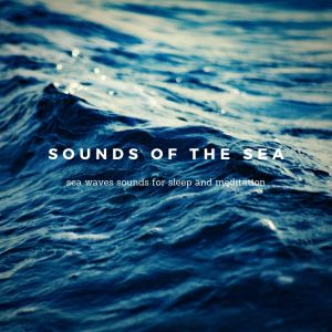 收听Ocean Sounds的Relaxing Water Vibes歌词歌曲