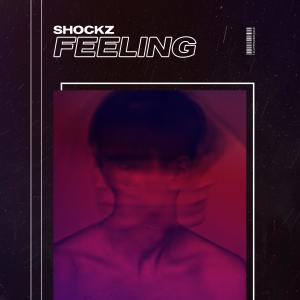 Listen to Feeling song with lyrics from Shockz