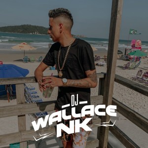 Listen to Só Porrada Seca (Explicit) song with lyrics from Dj Wallace NK