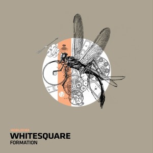 Whitesquare的专辑Formation