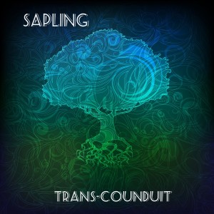 收聽Trans-Conduit的Back to Future Farming (feat. Lige Curry, Anders Pellmark, Ed Fletcher, Phil Woodring)歌詞歌曲
