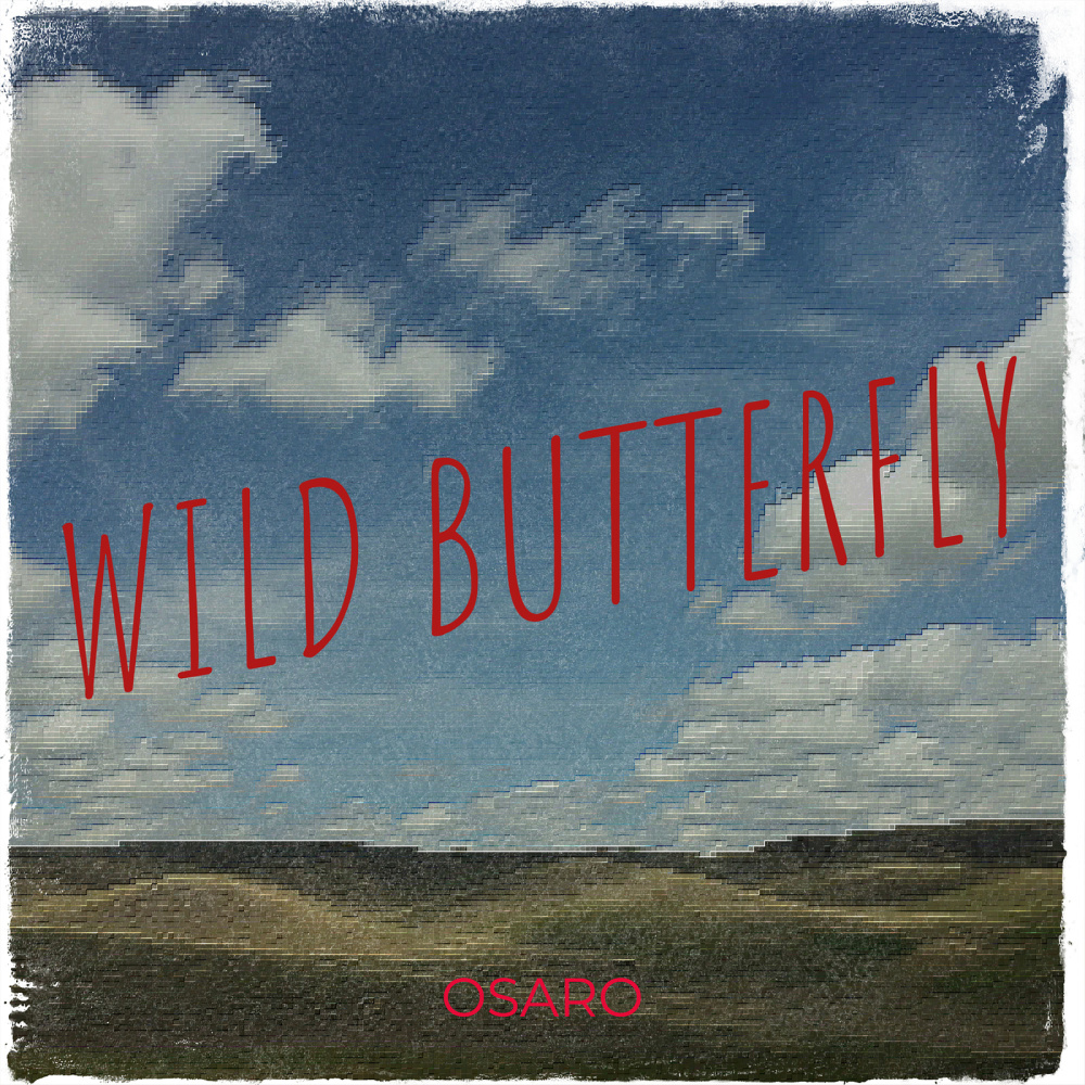 Wild Butterfly