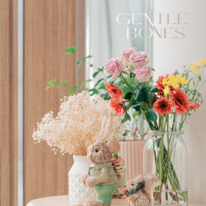 อัลบัม Same Same ศิลปิน Gentle Bones