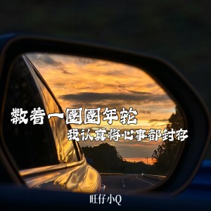 旺仔小Q的专辑数着一圈圈年轮我认真将心事都封存（年轮）