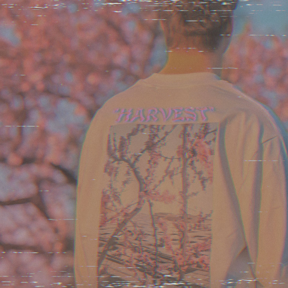 Harvest (Remix)
