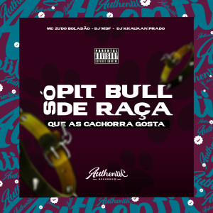 Só Pitbull de Raça Que as Cachorra Gosta (Explicit)