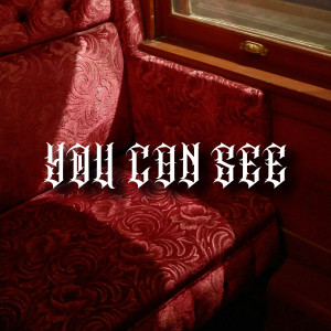 收聽Wayedoublerway的You Can See (Explicit)歌詞歌曲
