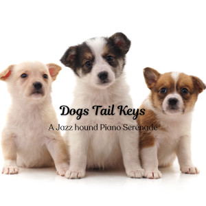 อัลบัม Dogs Tail Keys: A Jazz Hound Piano Serenade ศิลปิน Classic Jazz Piano