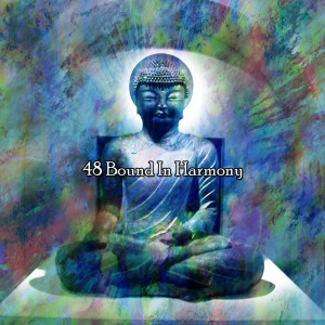 Album 48 Bound In Harmony from Brain Study Music Guys