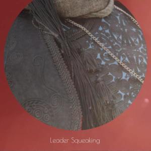 收听Ruurt Rezi的Leader Squeaking歌词歌曲