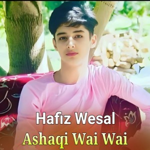 Listen to Ashaqi Wai Wai song with lyrics from Hafiz Wesal