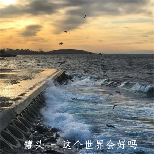 Listen to 这个世界会好吗 song with lyrics from 罐头