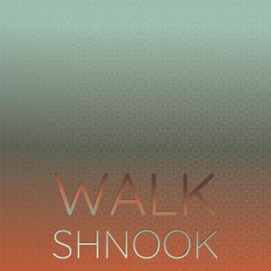 Album Walk Shnook from Various