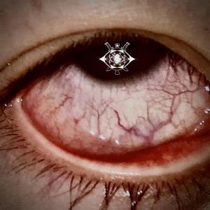 Listen to 竹，韧，影 song with lyrics from Scar￥u