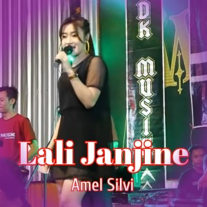 Album Lali Janjine from Amel Silvi