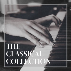Classical Music For Genius Babies的專輯The Classical Collection