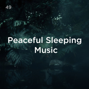 Listen to Sound Of Rain For Sleep song with lyrics from Yoga
