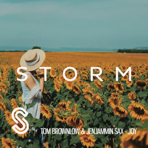 Listen to Joy (Extended Mix) song with lyrics from Tom Brownlow