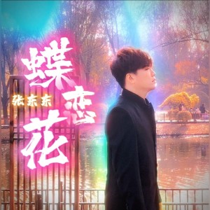 张东东的专辑蝶恋花-张东东