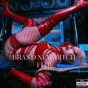 Listen to BRAND NEW BITCH (Flip|Explicit) song with lyrics from Aonakii