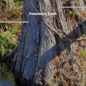 Album Summery Look oleh Various Artists
